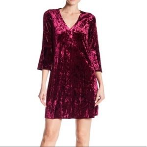 Eliza J Bell Sleeve Velvet Dress